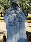 image of grave number 784109